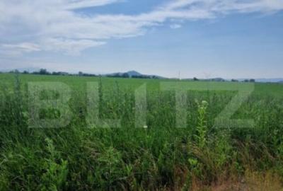 Teren extravilan, 1203 mp pretabil pentru investitie ,casa p - 4