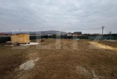 Casă cu 4 camere cu Teren 1134 Mp în Bărăbanț - 5