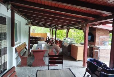 Spațiu comercial, de 270 mp, în Domnești - 1