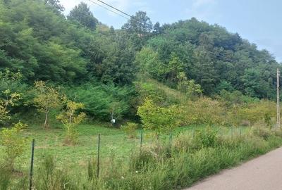 Teren de 7000 mp, în Voia - 7