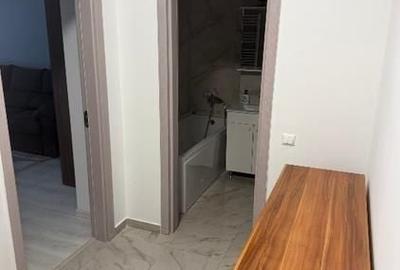 Garsonieră decomandată, mobilată în Theodor Pallady - 10