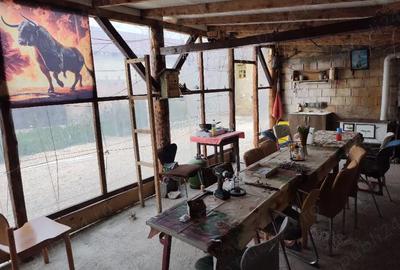 Casă cu Teren 3000 Mp în Grânari - 5