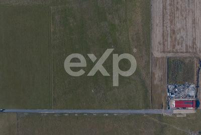 Teren 11.600 mp – Rasnov, zona Tabara, 230 m de DN 73 - 10