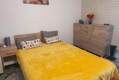 Garsonieră semidecomandată în Costin Georgian - 10