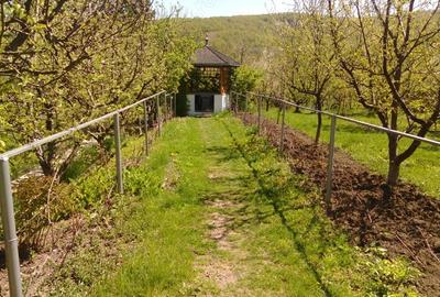 Casă cu 6 camere în Vălenii de Munte - 8