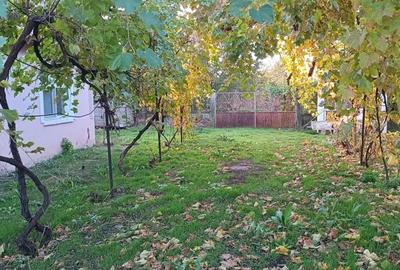 Casă cu 3 camere în Rusănești - 1