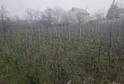 De vanzare: Teren 15.000 mp cu vila Galata, Strada Podi?ului - 3