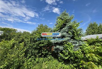 Apartament cu 3 camere semidecomandat în Dârza - 7