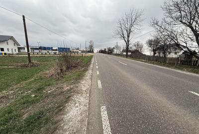 Teren Construcții intravilan de 3255 mp, în Grănicești - 8