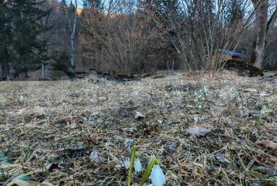 Casa de vacanta de vanzare in Rasnov - Brasov - 17