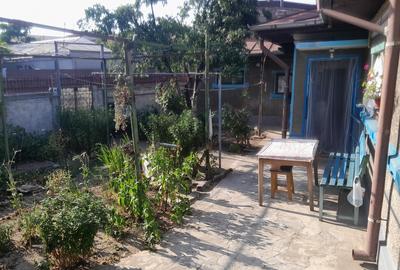 Drumul Gazarului, Soimus Drumul Gazarului, Soimus - 15