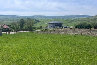 Teren Construcții intravilan de 500 mp, în Pata - 1