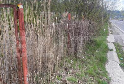 Teren 701 mp, front 30ml la DN1, Nistoresti, jud. Prahova Teren 701 mp, front 30ml la DN1, Nistoresti, jud. Prahova - 2