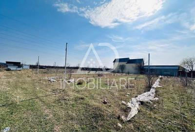 Vanzare teren comercial industrial situat pe strada Narciselor , Targu-Jiu - 6