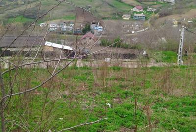 Teren de 2500 mp, în Exterior Vest - 3