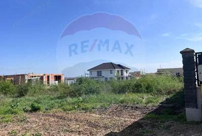 Teren 600mp Paleu / Strada Ardealului - 5