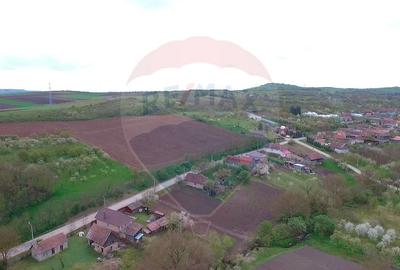 Teren intravilan de 34425 mp, în Bădeni - 13