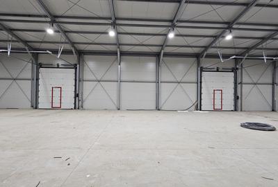 Hale noi in zona Progresul, Jilava - 1