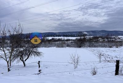 Teren Com. Negresti- jud. Neamt - 8