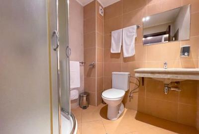 Se inchiriaza apartament in zona 13 Decembrie - 2