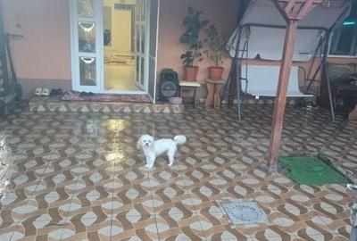 Casă cu 2 camere în Central - 4