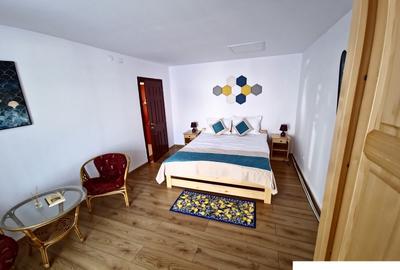 Apartament 1 camera Maratei - 3