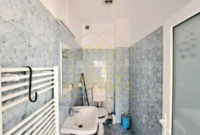 Spatiu Comercial SAD diverse activitati, productie I Lipovei - 7