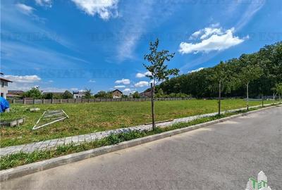 Teren constructii in proximitatea Padurii Corbeanca