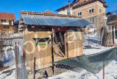 Casa + spa?iu comercial + lac de pe?te, de vanzare ( Verne?ti Arges ) - 16