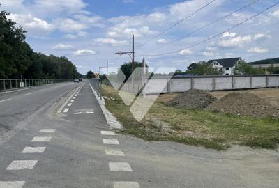 Teren pentru dezvoltare imobiliara - 9 loturi - 5764 mp Rasinari - 6