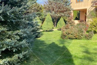 DE VANZARE Vila de vacanta in Pucioasa /Dambovita - 12