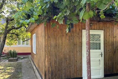 Casă cu 2 camere cu Teren 1400 Mp în Moțca - 1