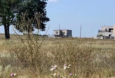 Teren intravilan Constanta Statiunea Techirghiol - 1