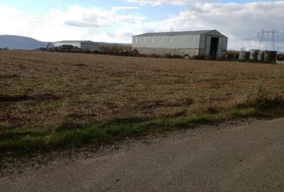 Teren de 5000 mp, în Urleta - 2