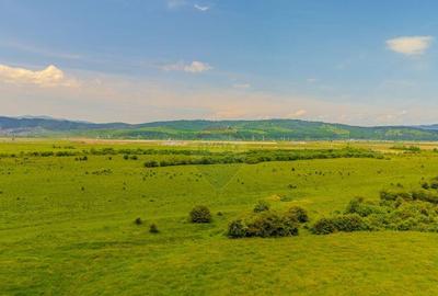 Teren 10,800mp Rasnov / Drumul DN73 - 2