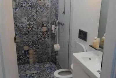 Garsoniera confort 1-Mobilata-Utilata-Balcescu - 6