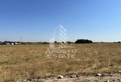Teren de 573 mp, în Giroc - 3