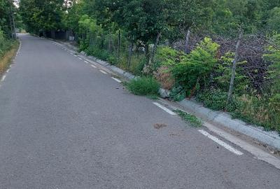 Casă individuală cu 4 camere cu Teren 80 Mp în Blânzi - 1