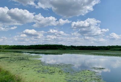 Teren agricol intravilan de 45000 mp, în Crevedia - 10