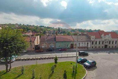 Casa / Vila cu 4 camere de vanzare Ultracentral Str. Louis Pasteur - 23