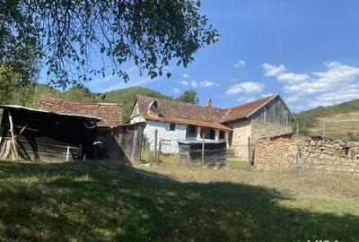 Casa de vanzare+terenuri - 4