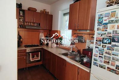 Casă cu 4 camere cu Teren 500 Mp în Paleu