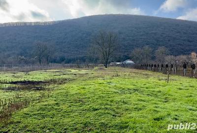 Vand Casa la Munte in Slava Rusa, 2000 m2 - 5