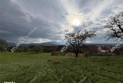 Spațiu comercial, în Mohu - 6