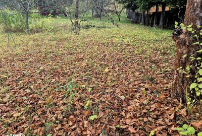 Casă cu 4 camere cu Garaj în Timișu de Sus - 20