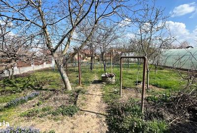 Casă cu 3 camere cu Teren 788 Mp în Vest - 5