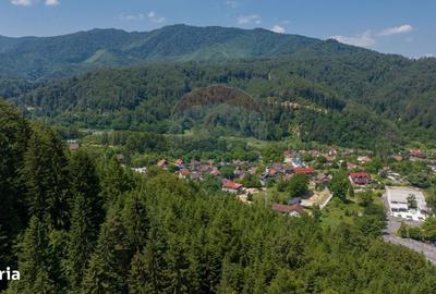Spațiu comercial, în Timișu de Jos - 4