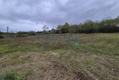 Oportunitate de investitie! Teren extravilan 11 400 mp, Apahida - 4