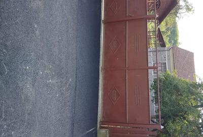 Casă cu 4 camere în Nicolae Bălcescu - 9