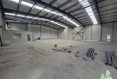 Spațiu comercial, în Tunari - 7